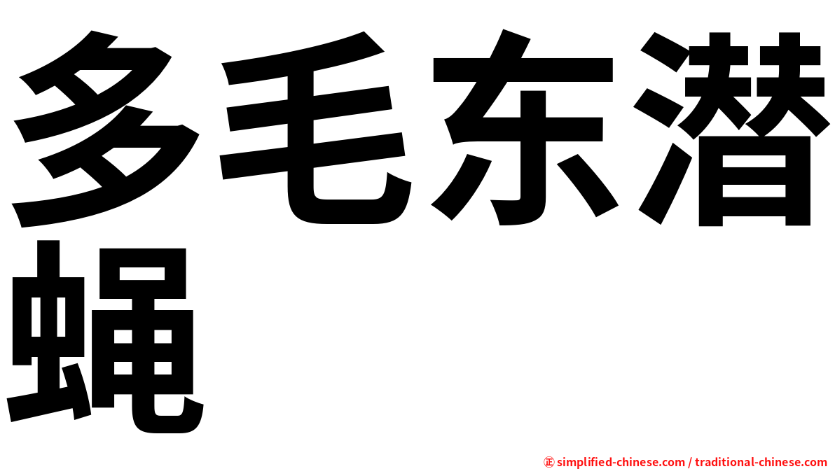 多毛东潜蝇