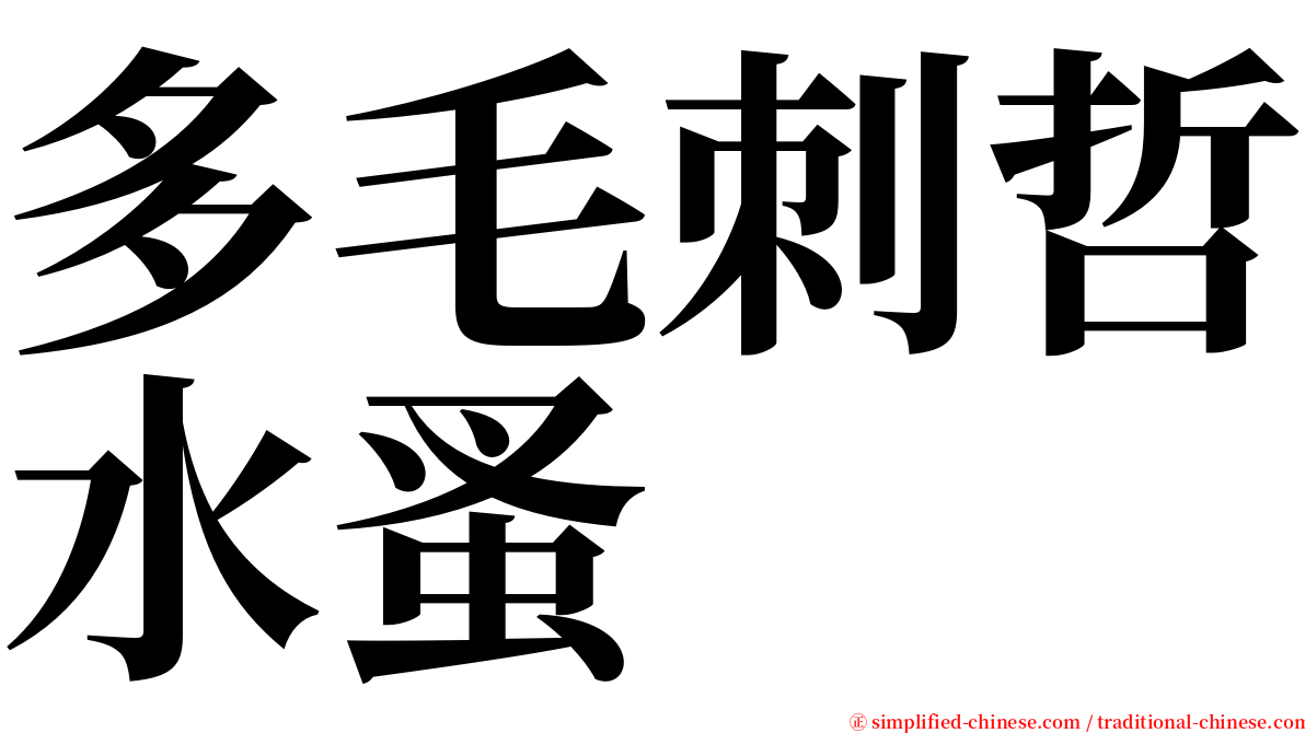 多毛刺哲水蚤 serif font