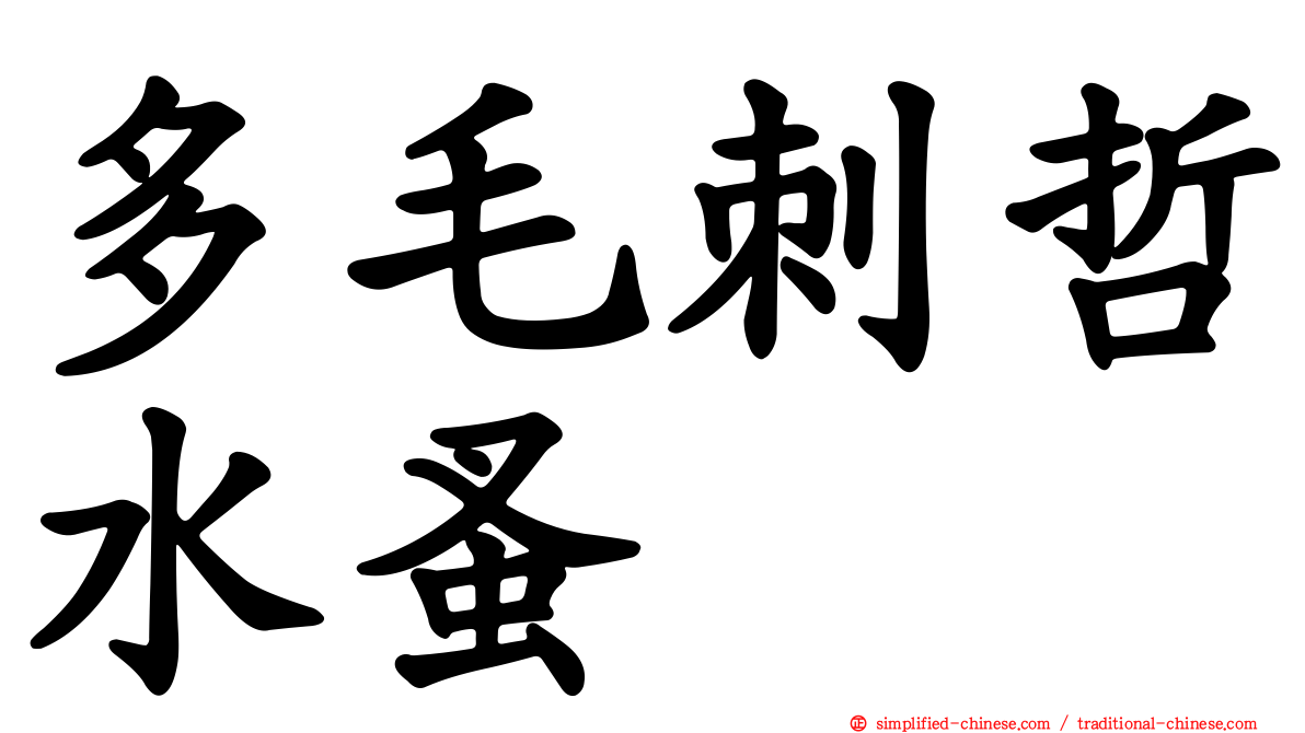 多毛刺哲水蚤