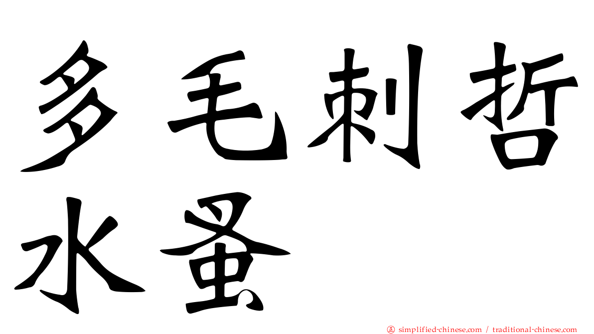 多毛刺哲水蚤