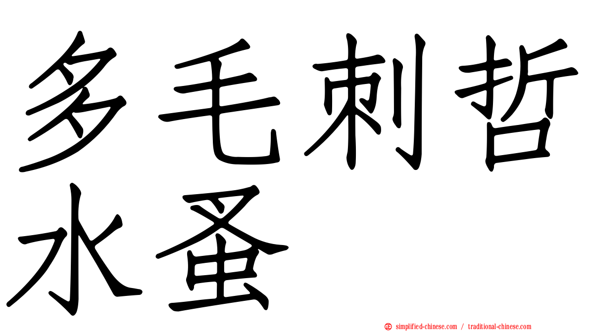 多毛刺哲水蚤