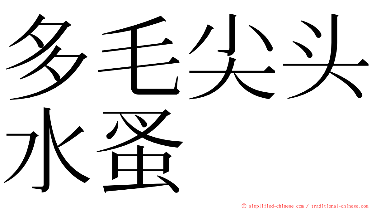 多毛尖头水蚤 ming font