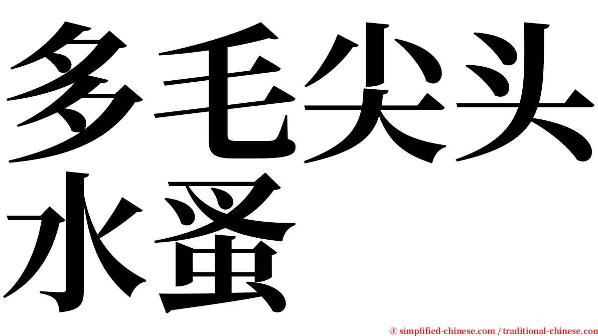 多毛尖头水蚤 serif font
