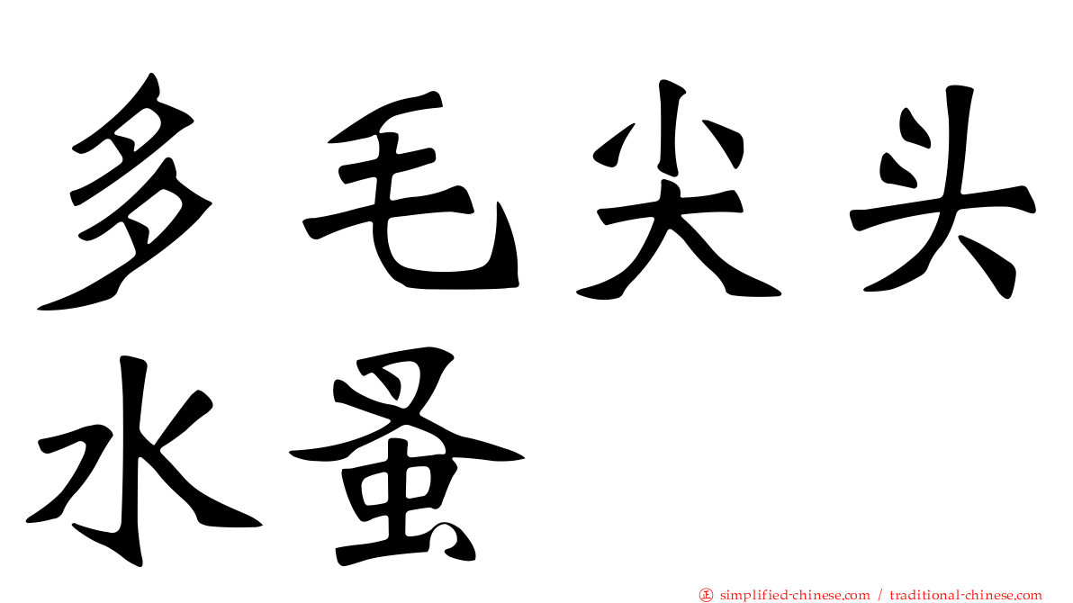 多毛尖头水蚤