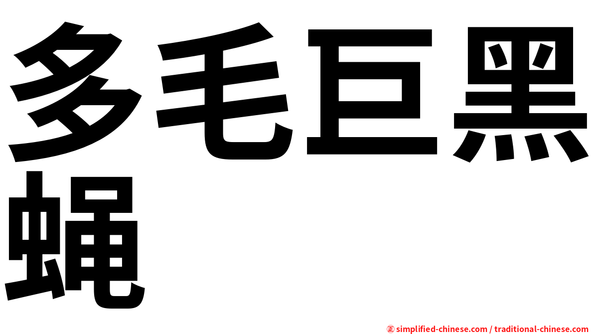 多毛巨黑蝇