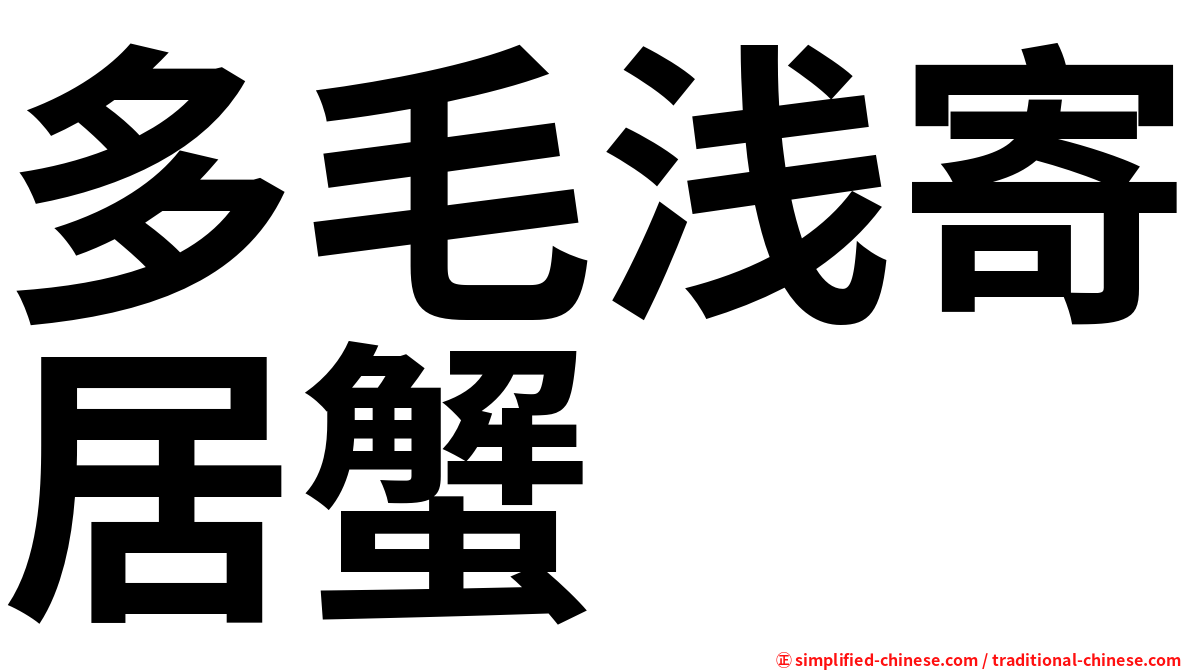 多毛浅寄居蟹