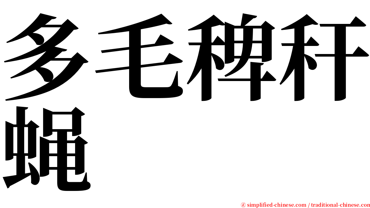 多毛稗秆蝇 serif font