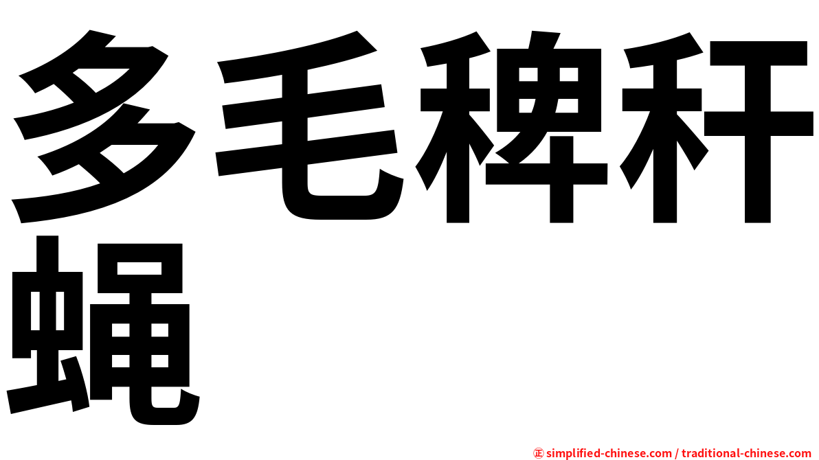 多毛稗秆蝇