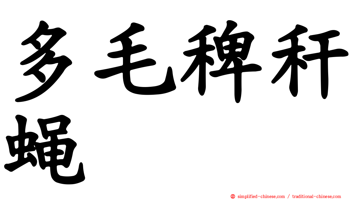 多毛稗秆蝇