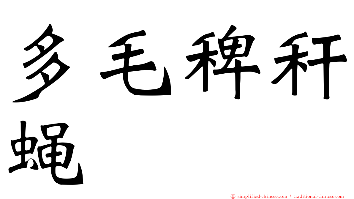 多毛稗秆蝇