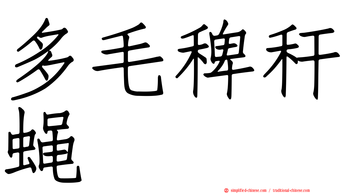 多毛稗秆蝇