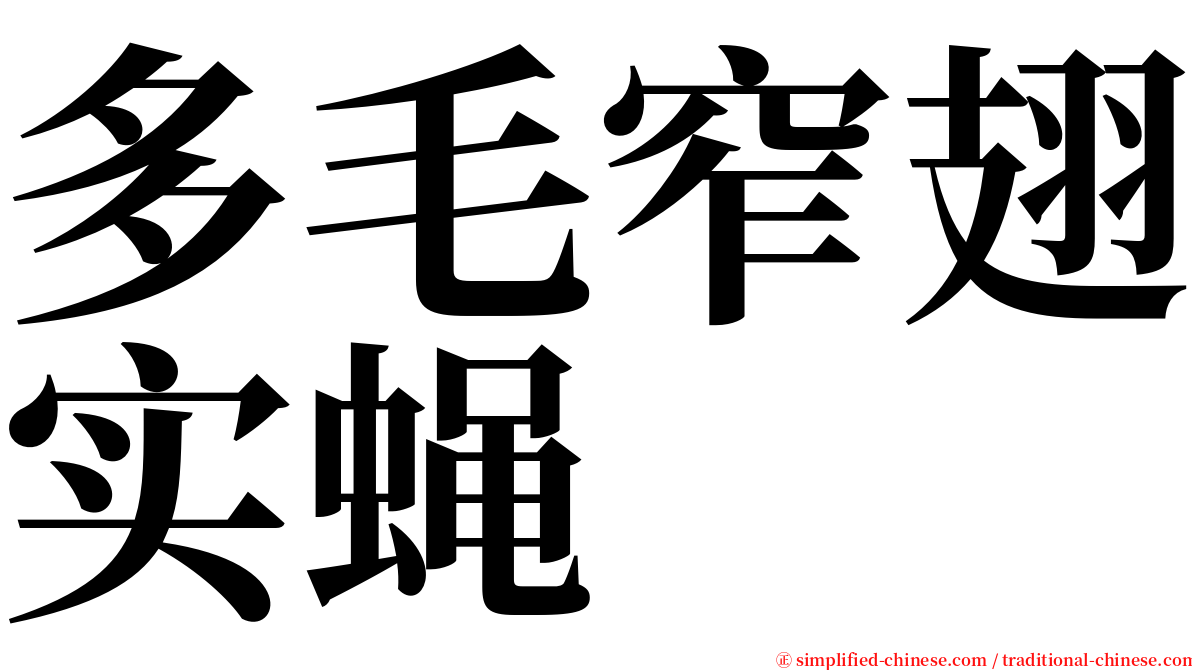多毛窄翅实蝇 serif font