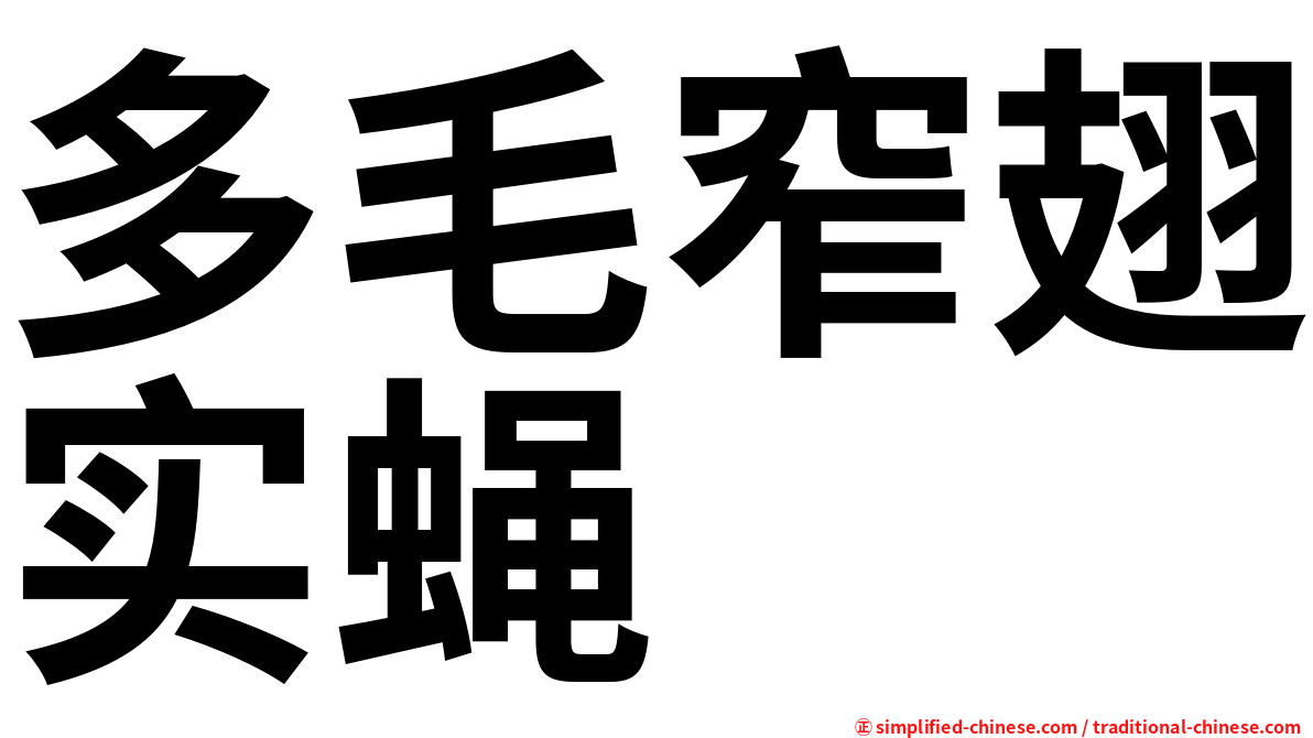多毛窄翅实蝇