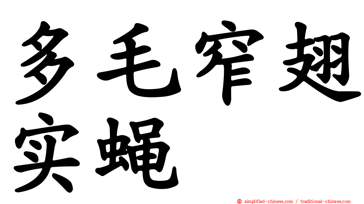 多毛窄翅实蝇