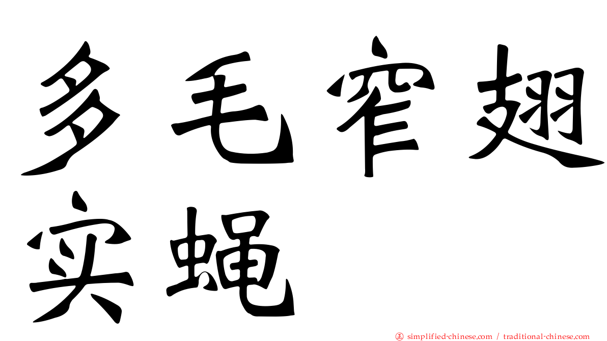 多毛窄翅实蝇