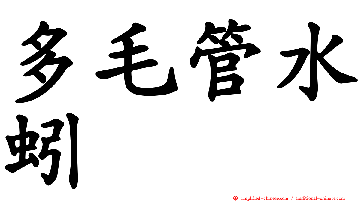 多毛管水蚓