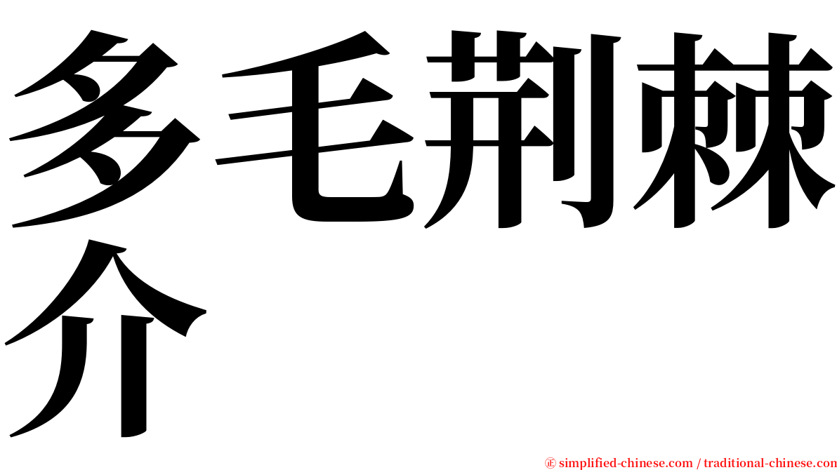 多毛荆棘介 serif font
