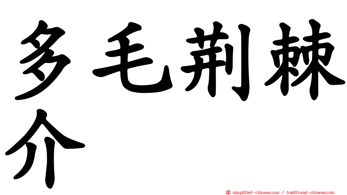 多毛荆棘介