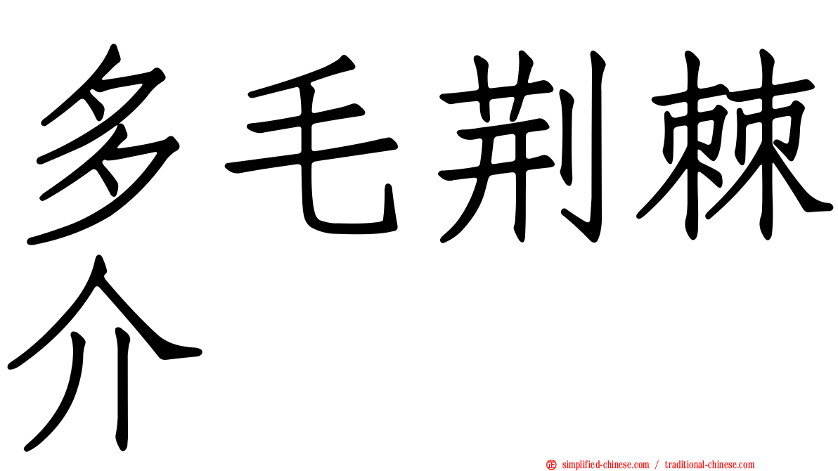 多毛荆棘介