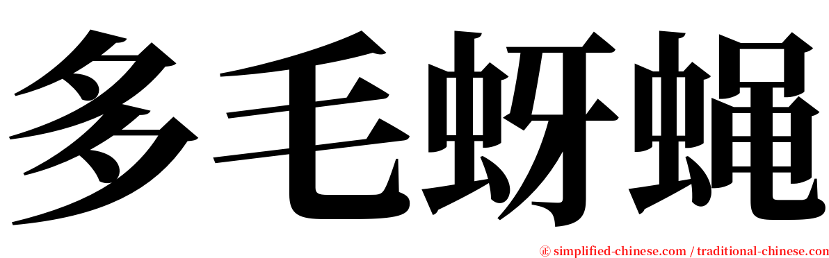多毛蚜蝇 serif font