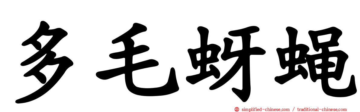 多毛蚜蝇