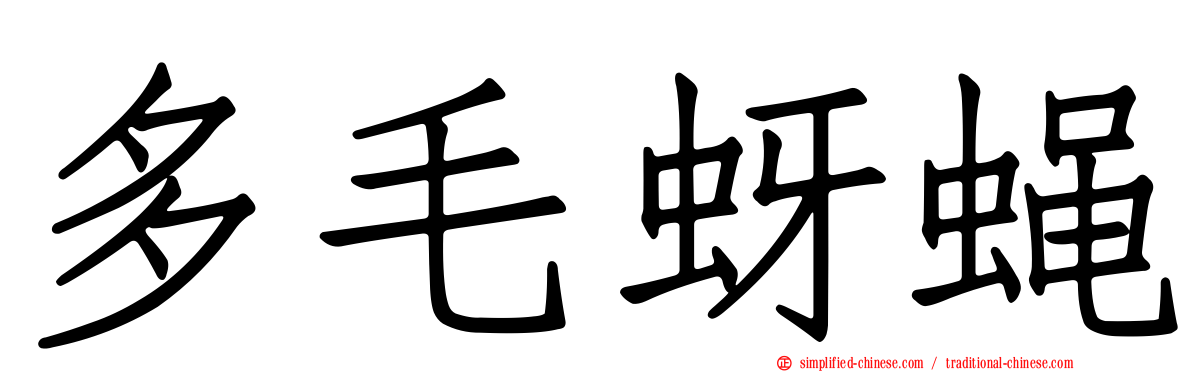 多毛蚜蝇