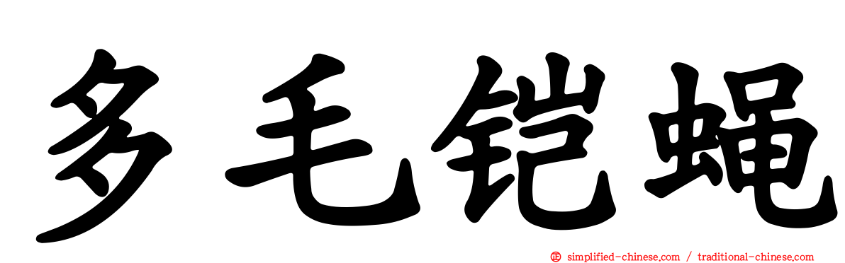 多毛铠蝇