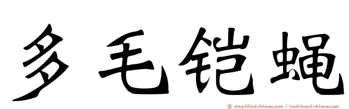 多毛铠蝇