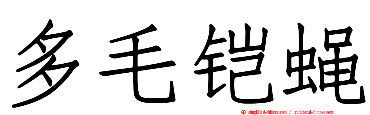 多毛铠蝇