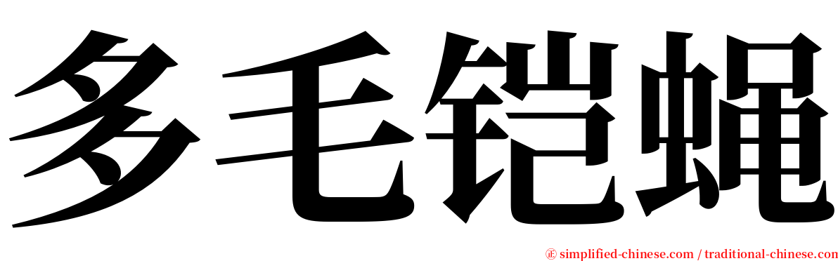 多毛铠蝇 serif font