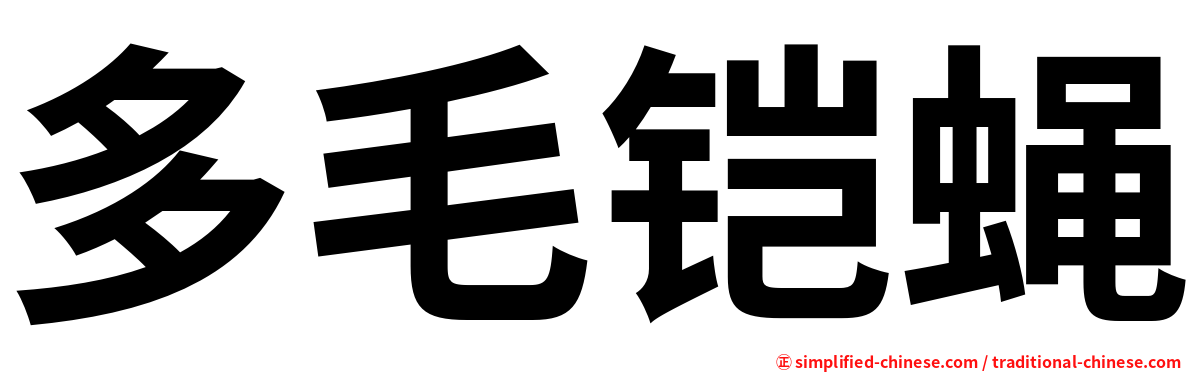 多毛铠蝇