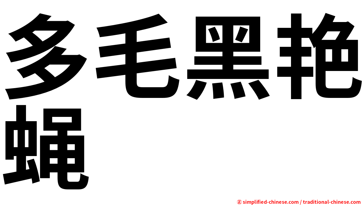 多毛黑艳蝇