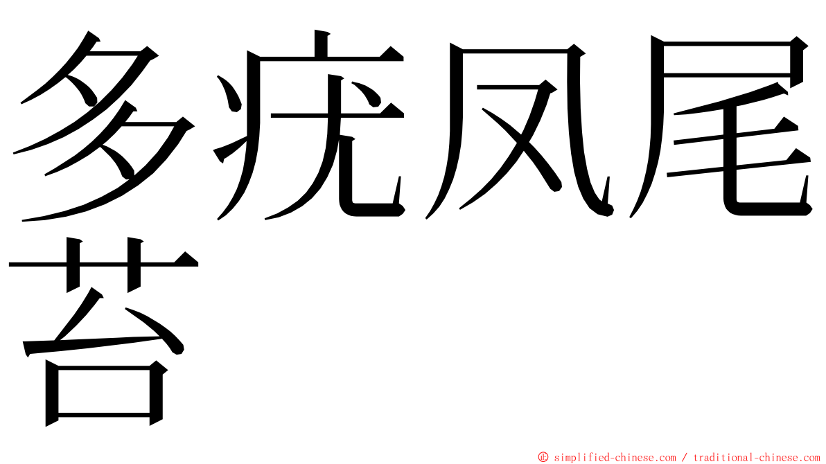 多疣凤尾苔 ming font