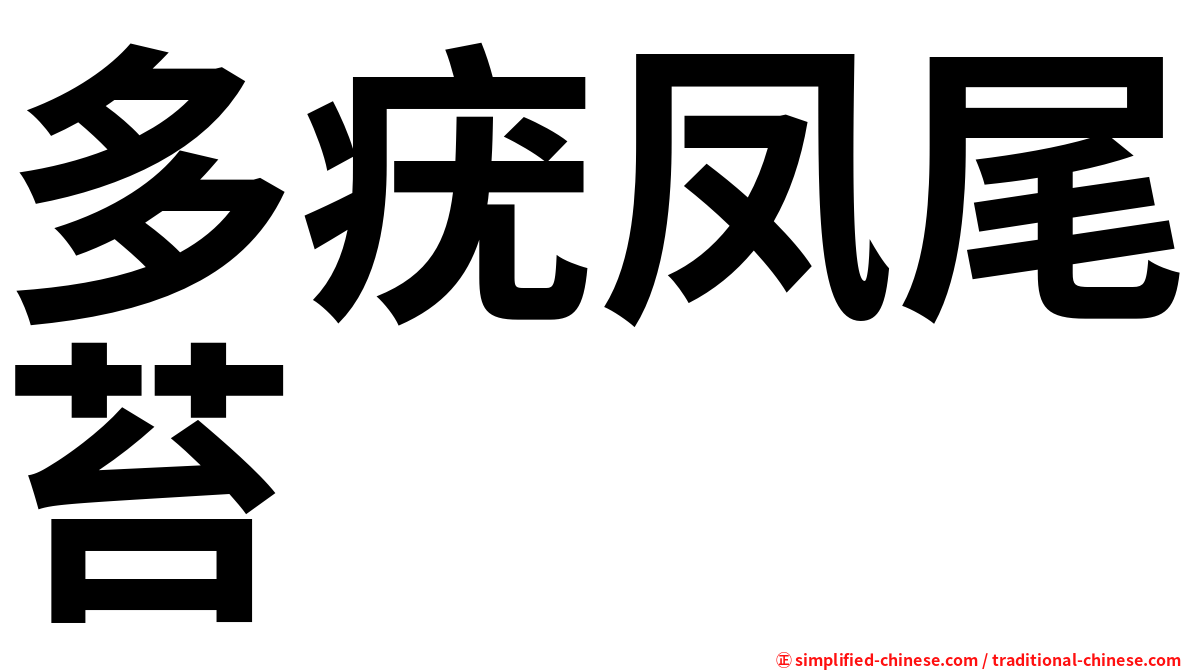 多疣凤尾苔