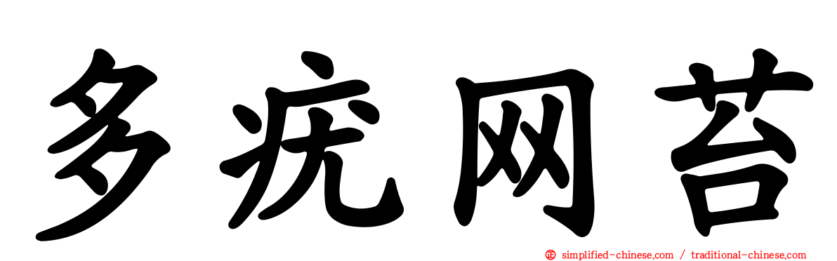 多疣网苔