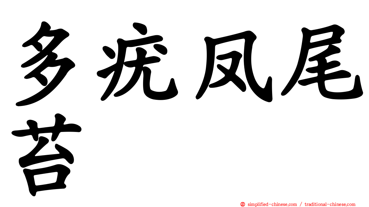 多疣凤尾苔
