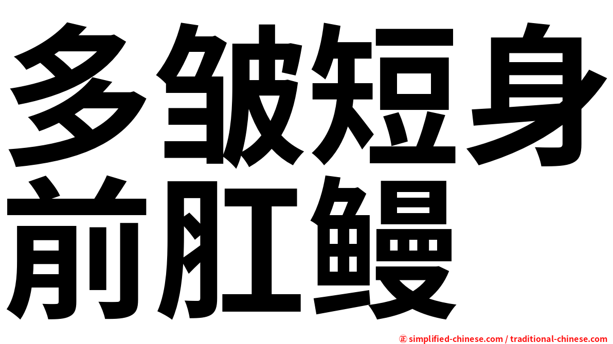 多皱短身前肛鳗