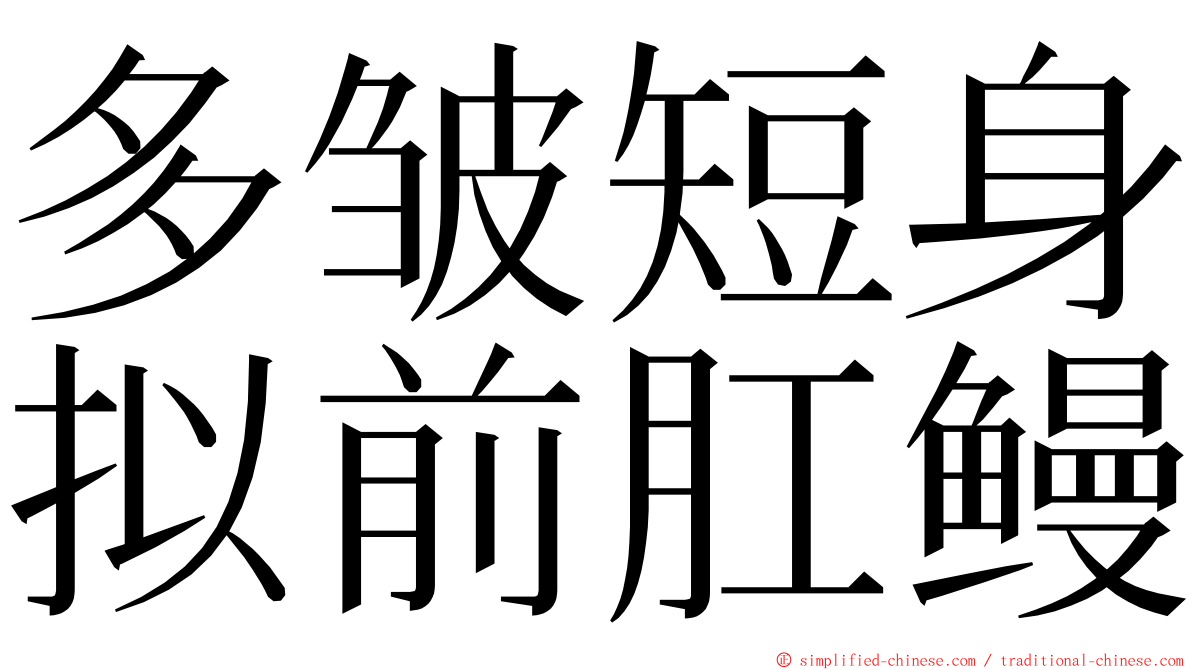 多皱短身拟前肛鳗 ming font
