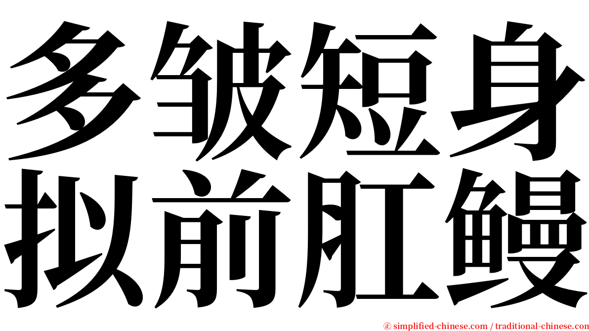 多皱短身拟前肛鳗 serif font