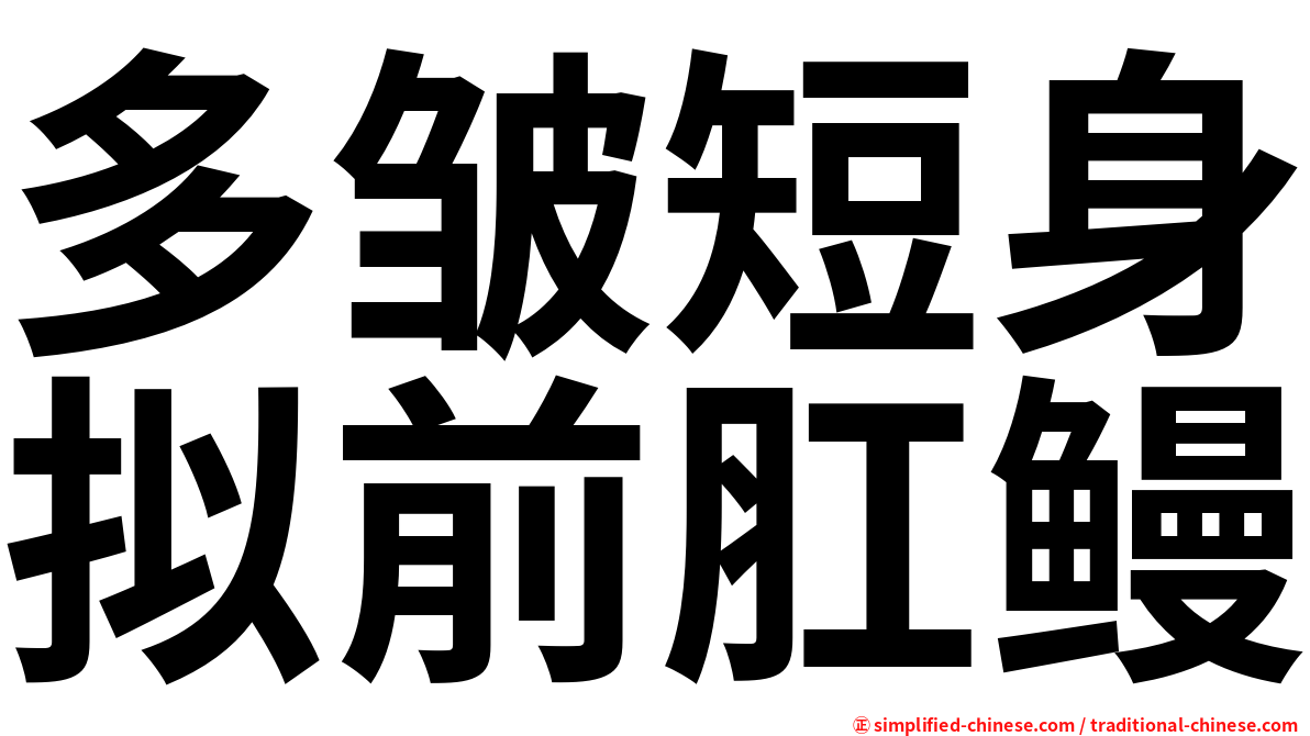 多皱短身拟前肛鳗