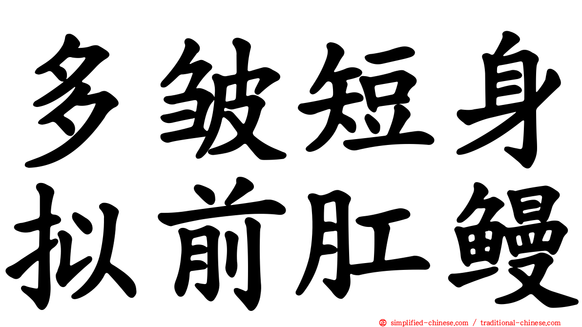 多皱短身拟前肛鳗