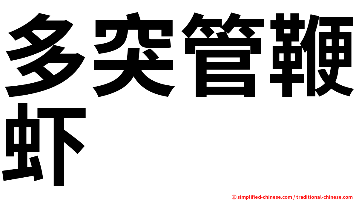 多突管鞭虾