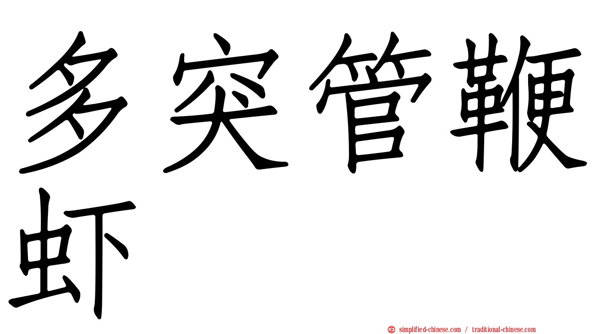 多突管鞭虾