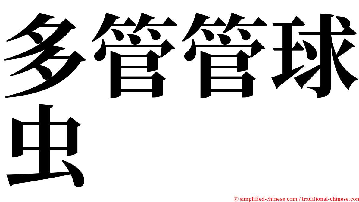 多管管球虫 serif font
