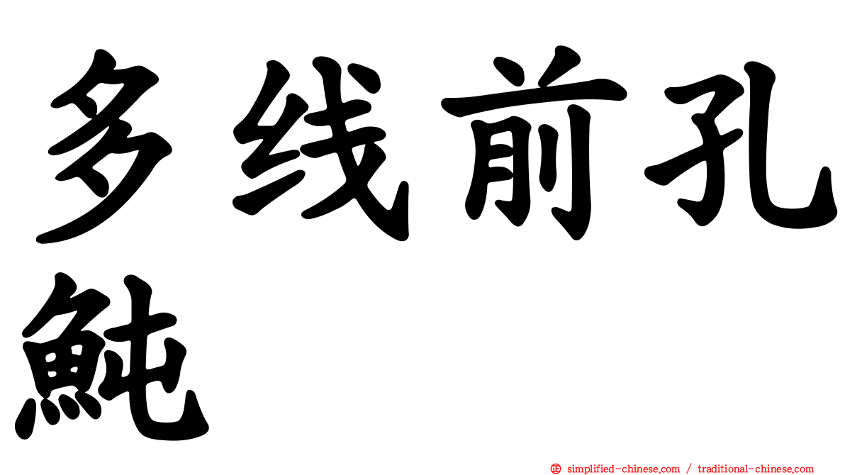 多线前孔鲀