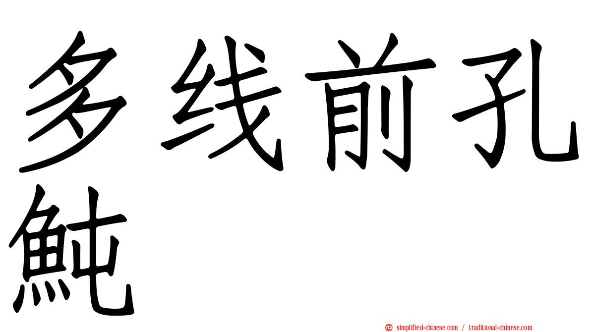 多线前孔鲀