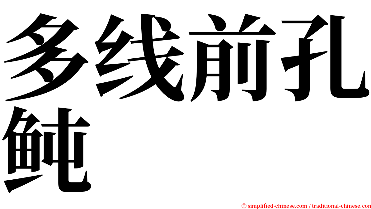 多线前孔鲀 serif font