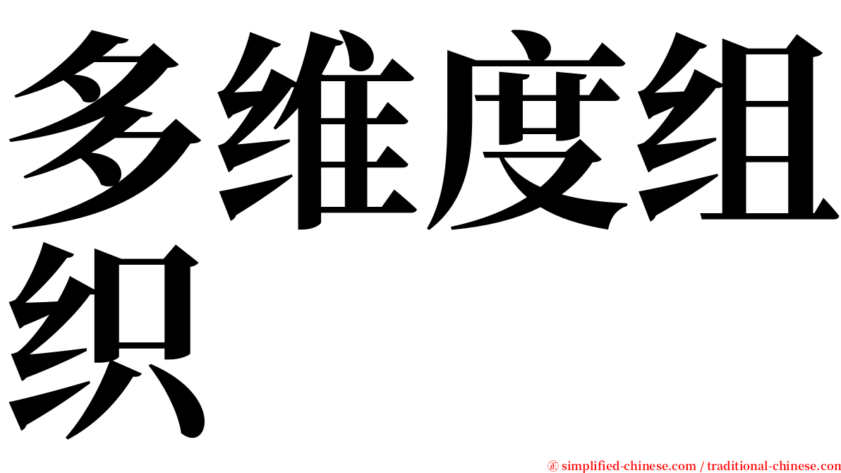 多维度组织 serif font