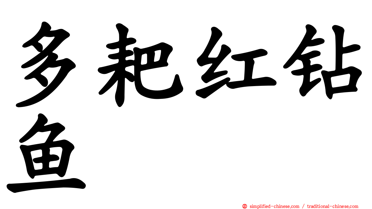 多耙红钻鱼