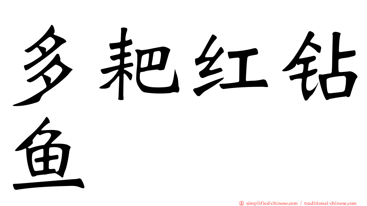 多耙红钻鱼